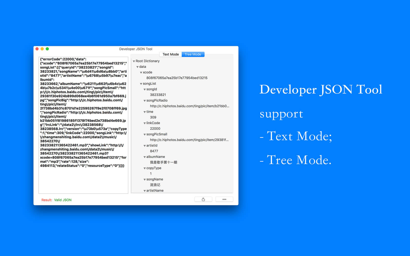 Developer JSON Tool 17.0 : Main Window