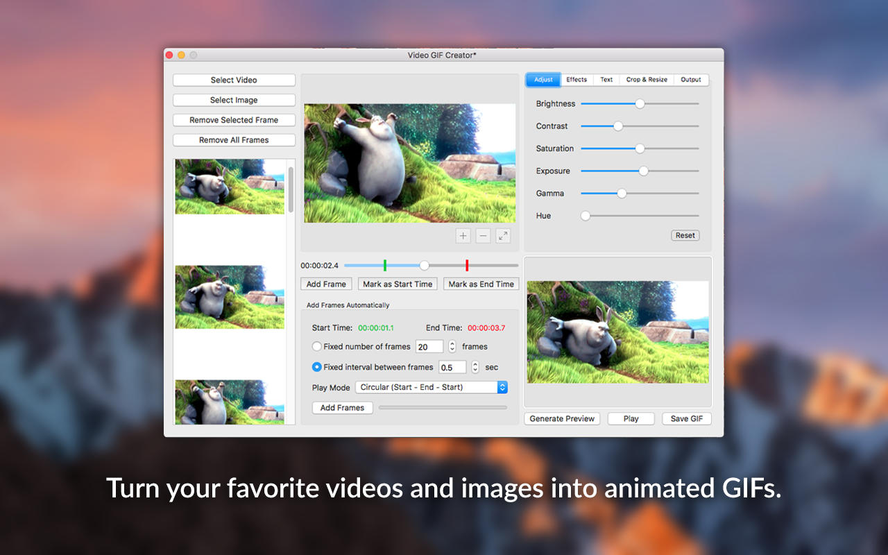 Video GIF Creator 1.0 : Main Window