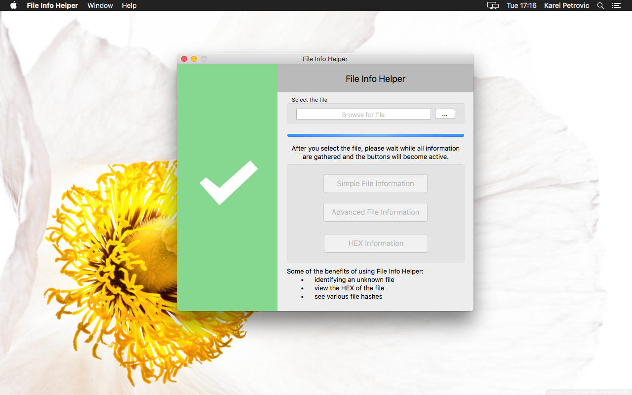 File Info Helper 1.0 : Main Window