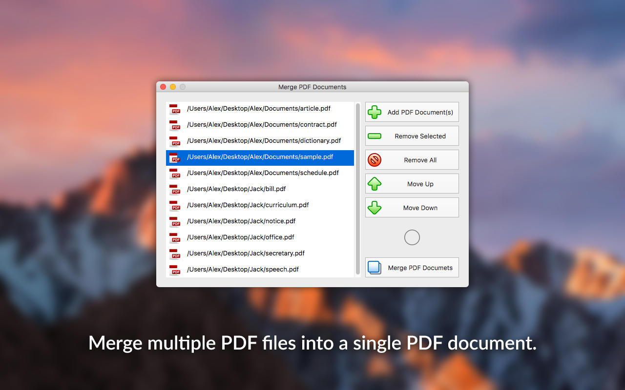 PDF Plus 1.0 : Main Window