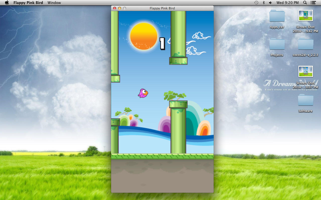 Flappy Pink Bird 1.0 : Main Window