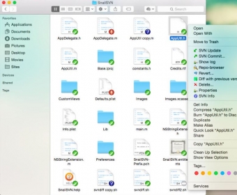 mac snailsvn xversion