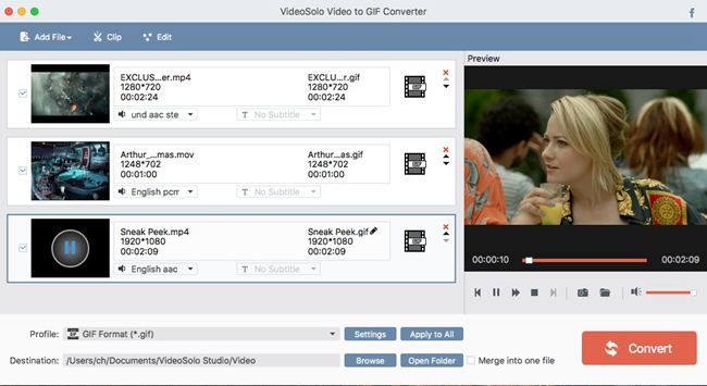 VideoSolo Video to GIF Converter 1.0 : Main Window