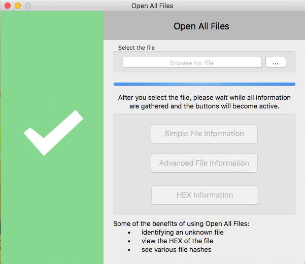 Open All Files 1.0 : Main Window