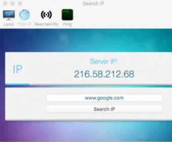 Search Server IP