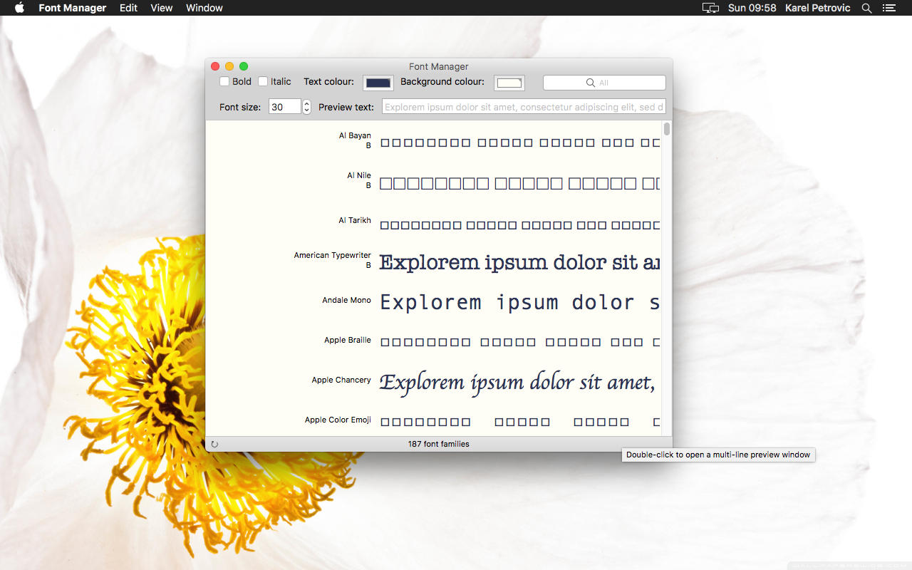 Font Manager 1.0 : Main Window