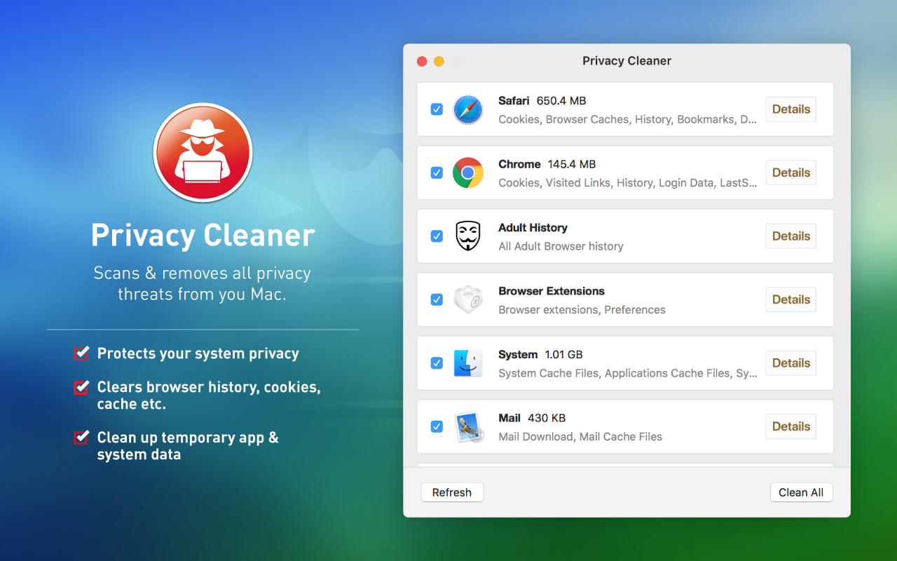 Privacy Cleaner 1.1 : Main Window