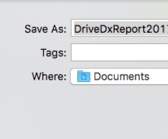 Exporting Report