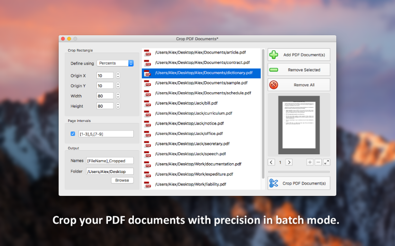 PDF Plus 1.1 : Main Window