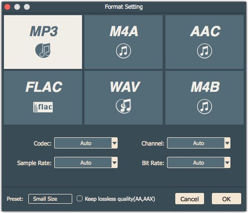 TunesKit Audio Converter 2.1 : Format Settings