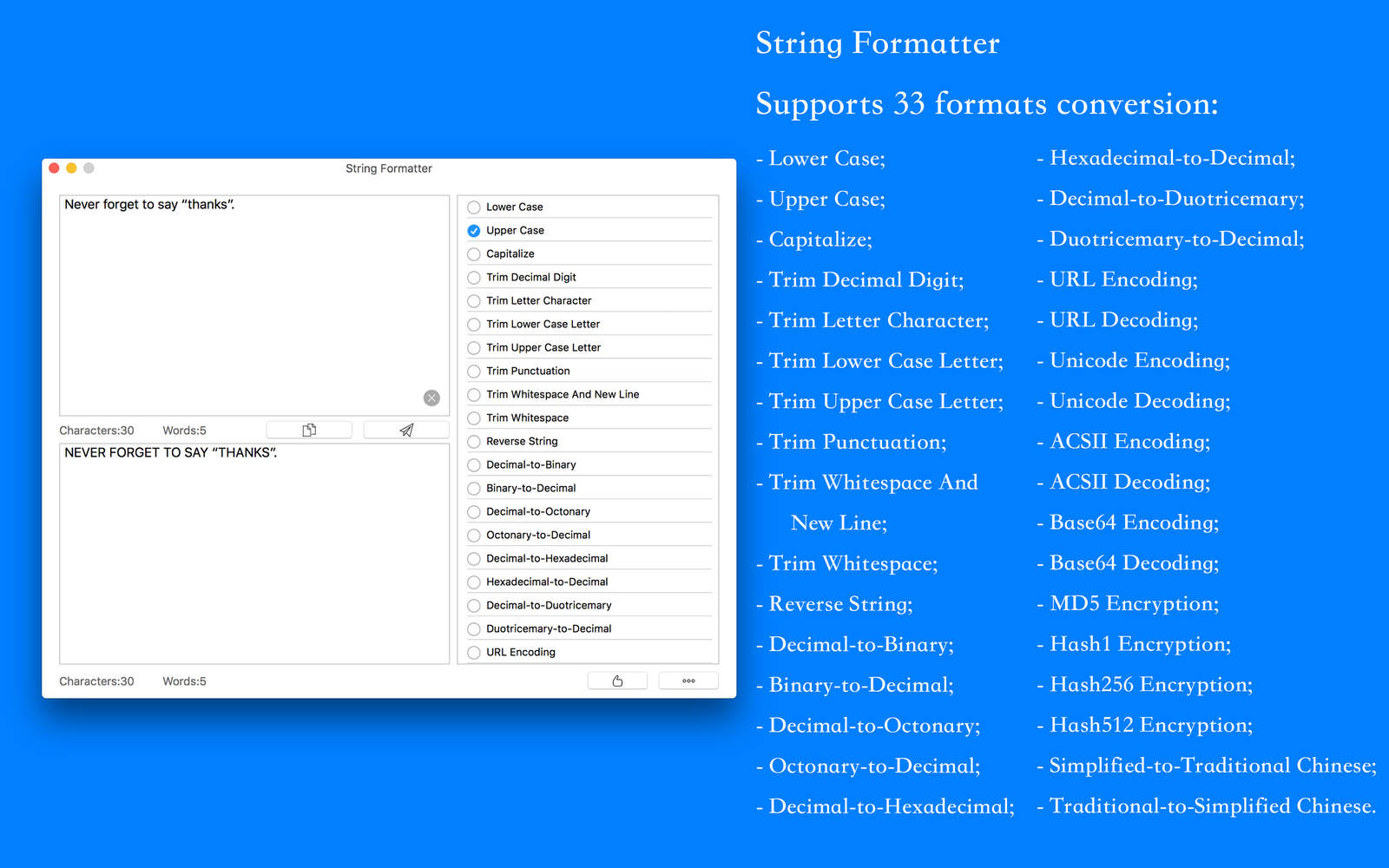 String Formatter 17.6 : Main Window