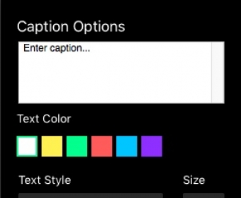 Captions Options