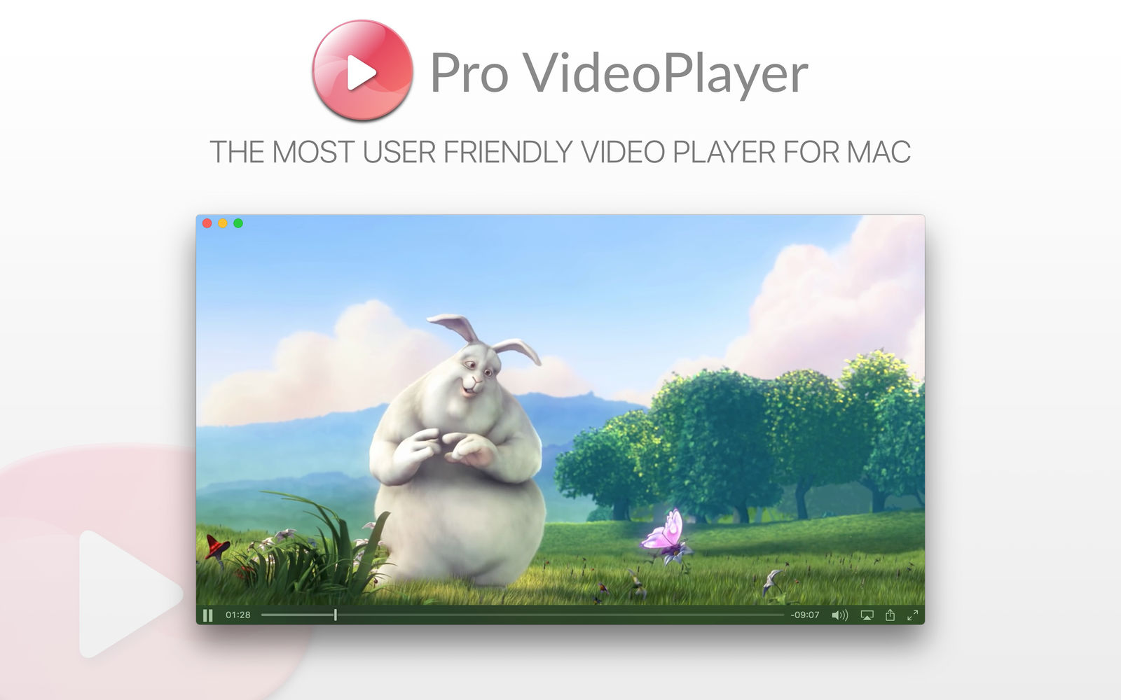 Pro VideoPlayer 1.0 : Main Window