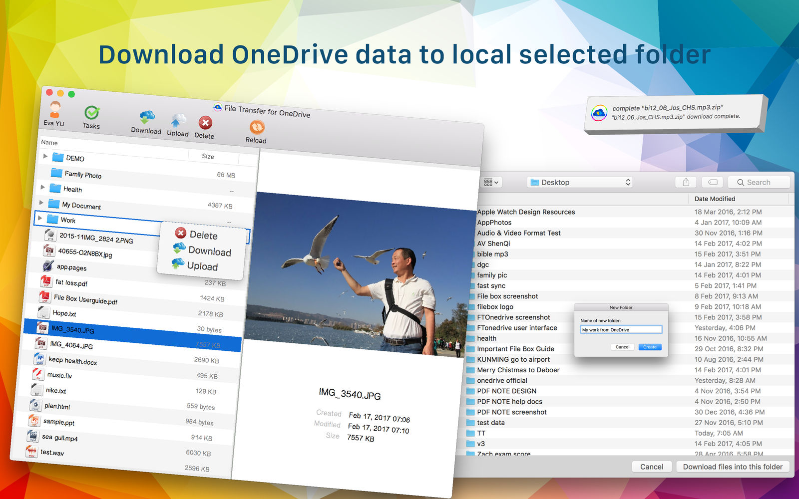 DuLoad for OneDrive 2.3 : Main Window