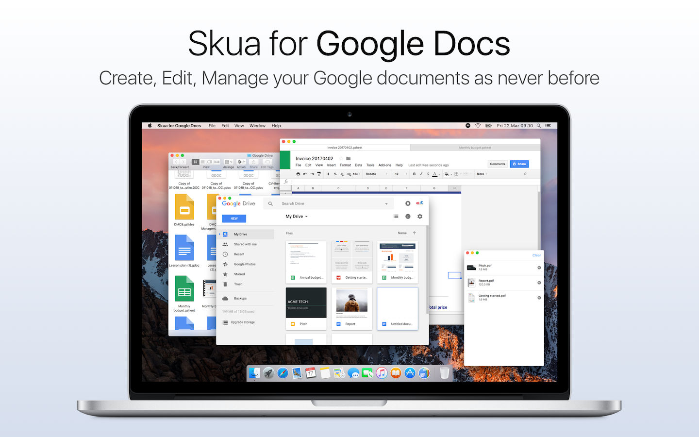 Skua for Google Docs 2.2 : Main Window