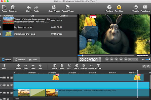 Video Editor MovieMator Pro 2.3 : Main window