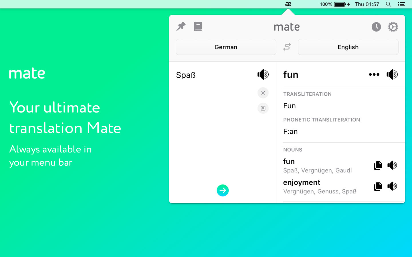 Mate Translate 4.0 : Main Window