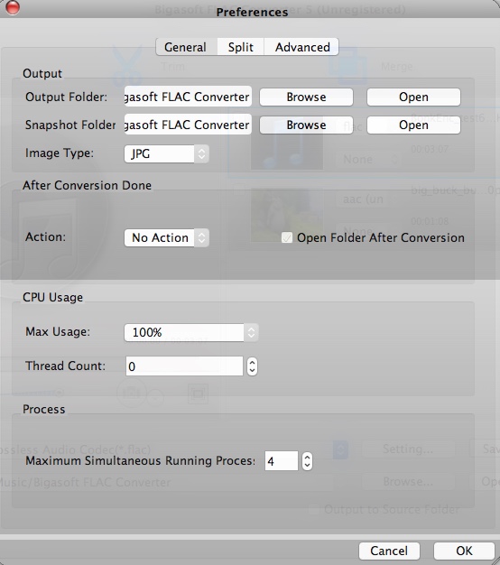 Bigasoft FLAC Converter 5.1 : Preferences Window