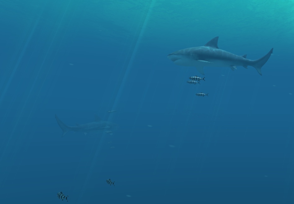 Sharks 3D 1.3 : Desktop Animation
