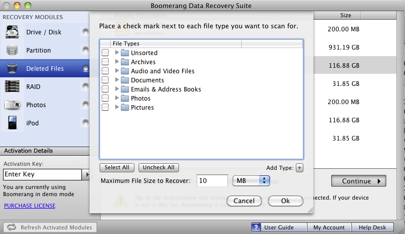 Boomerang Data Recovery 2.0 : Select file type