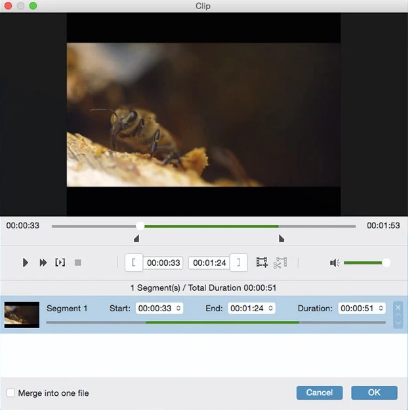 Tipard Video Converter 3.9 : Clip