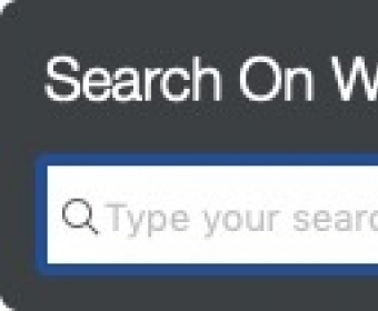 Search on Web