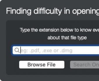 Find File Type