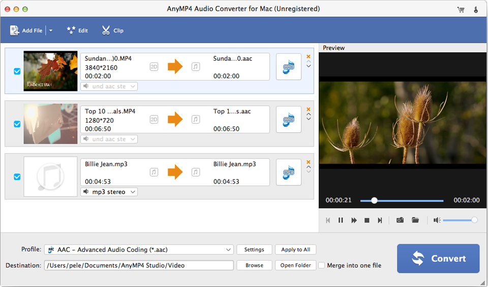 AnyMP4 Audio Converter for Mac 8.2 : Main Window