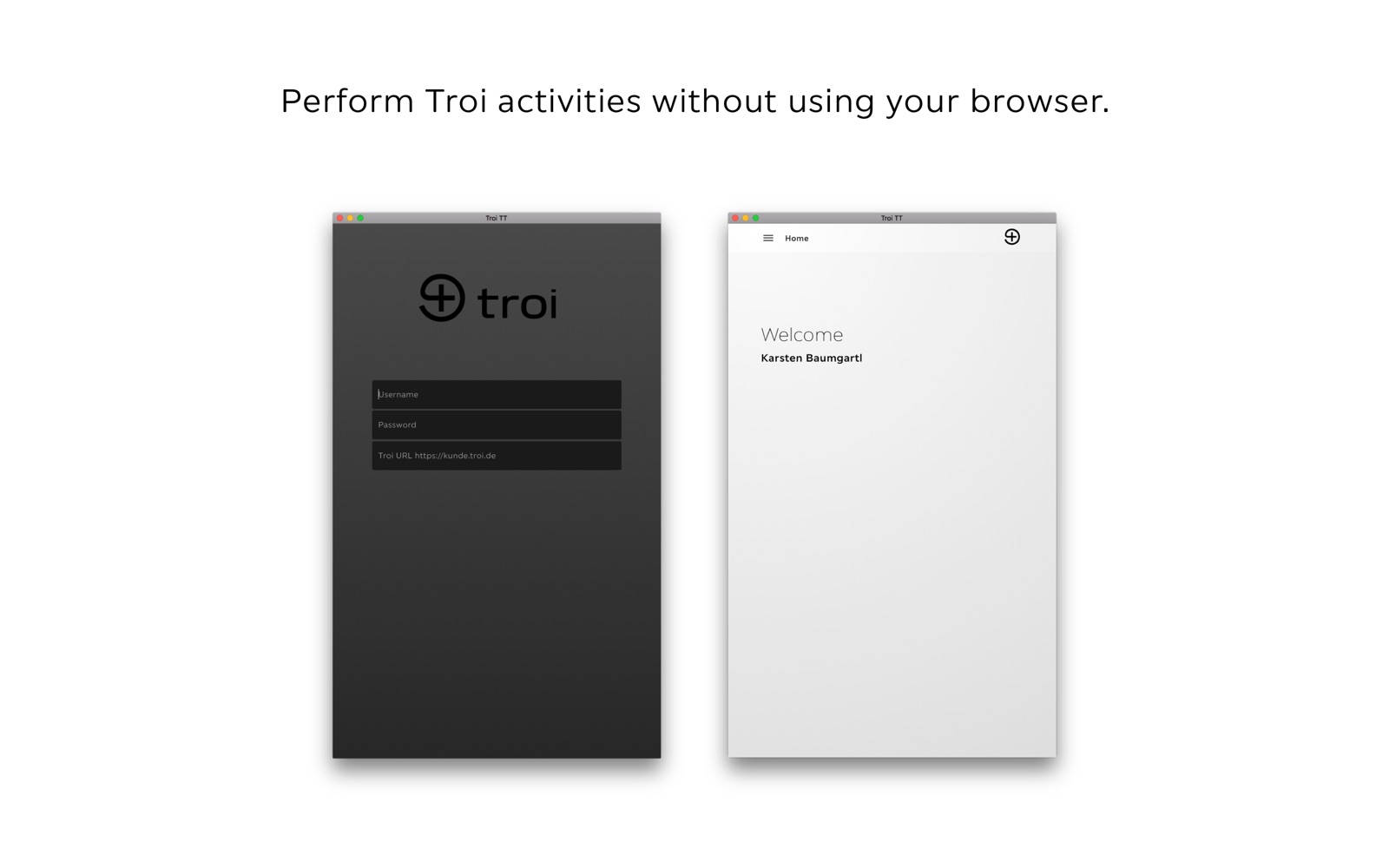 Troi TT 1.0 : Main Window