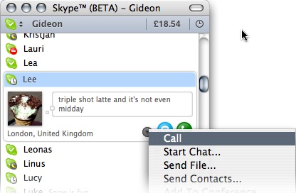 Skype Widget 5.2 : Main window