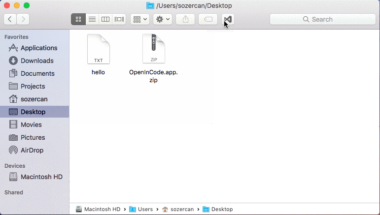 Open in Code 1.0 : Main Window