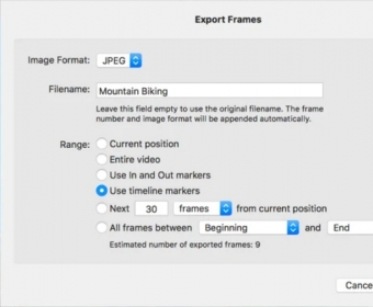 Export Frames