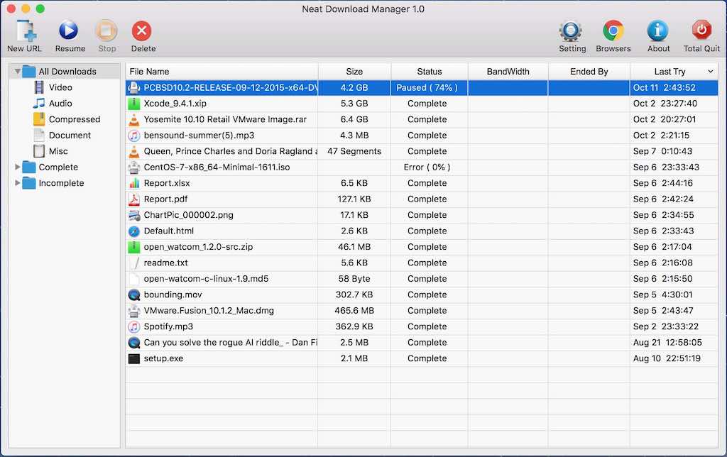 Neat Download Manager 1.0 : Main Window