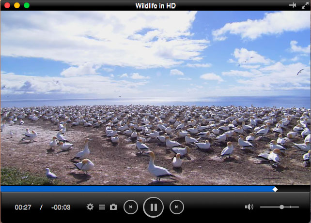 Total Video Player Pro for Mac 3.0 : Main Window