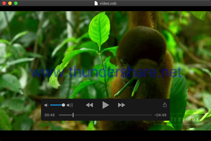 Free Video Editor 10.3 : Watermark After Edit