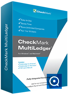 CheckMark Multiledger 9.0 : Main window