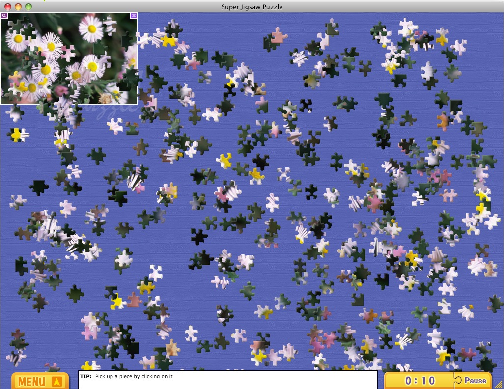 Super Jigsaw Flowers 1.2 : General view