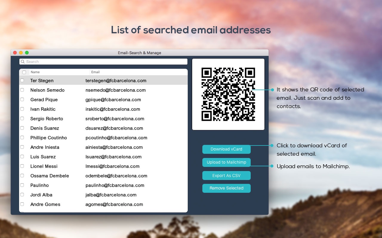Email - Search & Manage 1.0 : Main Window