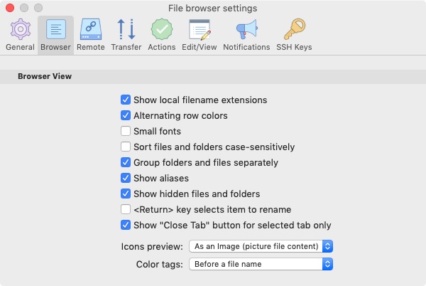 Viper FTP Lite 5.5 : Browser Settings