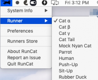 Runner Options