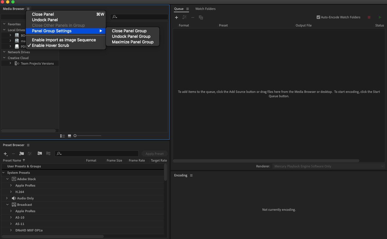 Adobe Media Encoder 2020 14.2 : Panel settings