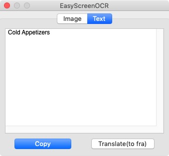 EasyScreenOCR 2.0 : Main Screen - Text tab
