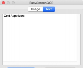 Main Screen - Text tab