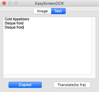 EasyScreenOCR 2.0 : Main Screen - Text and Translation