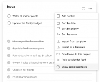 completed tasks in todoist user interface