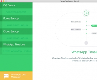 WhatsApp timeline tab