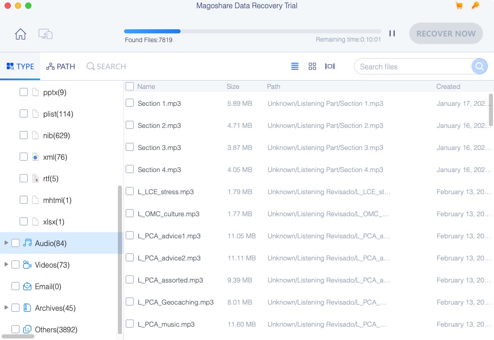 Magoshare Data Recovery 4.3 : Results by Type