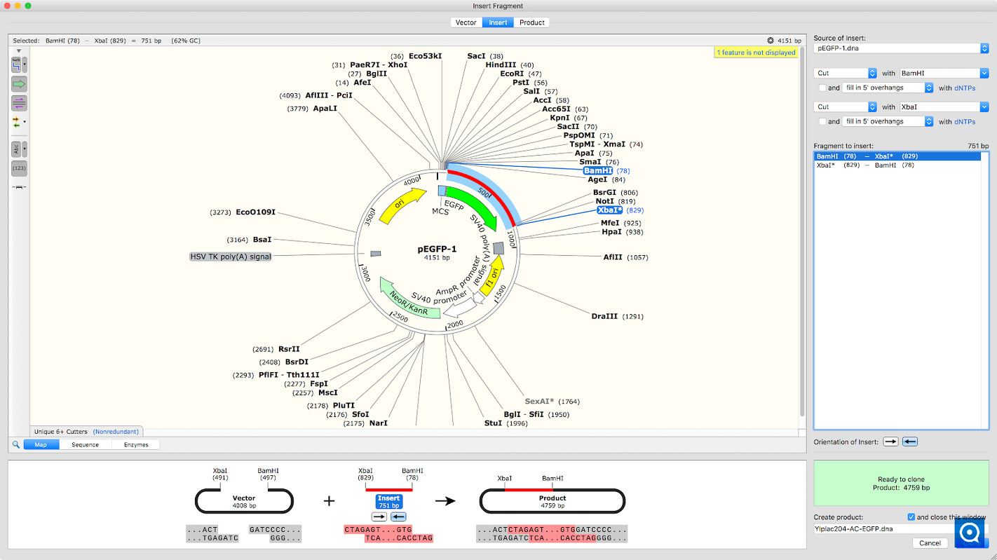 snapgene viewer for mac free download