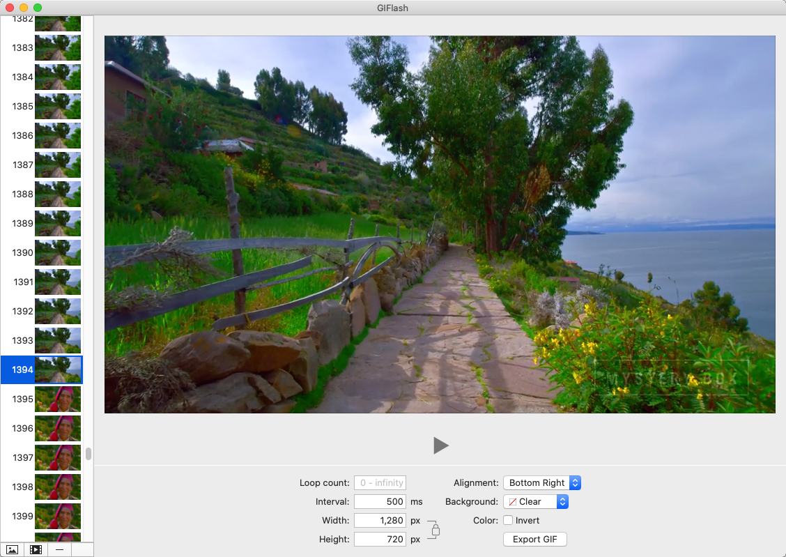 GIFlash 2.3 : Video Frames Window