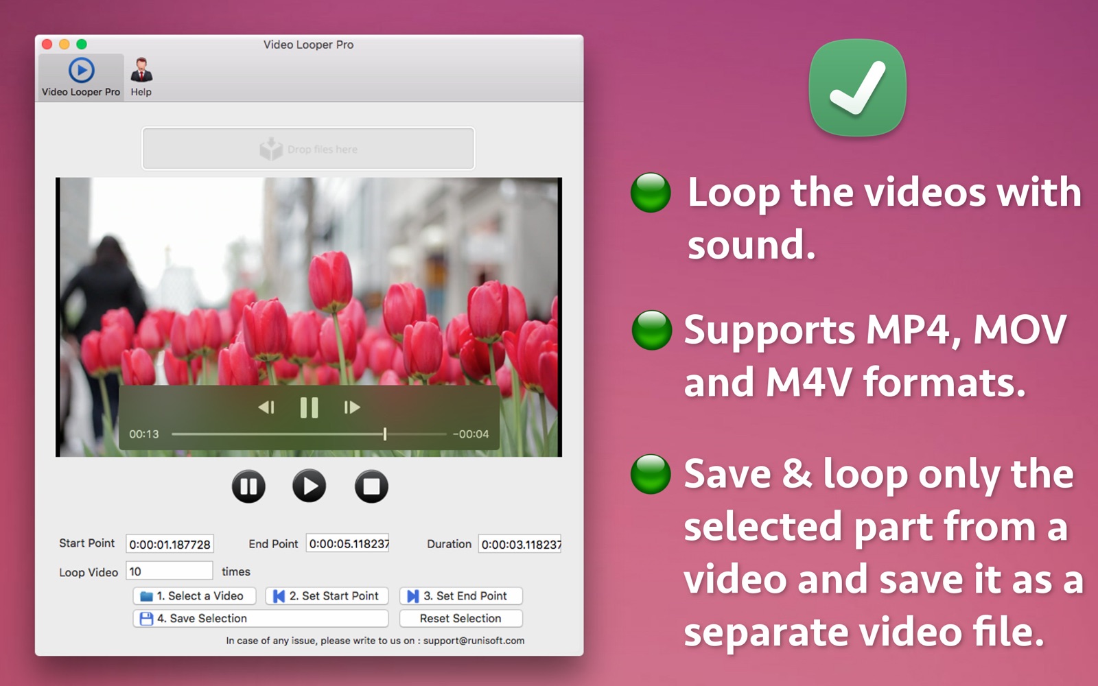 Video Looper Pro 3.1 : Main Window
